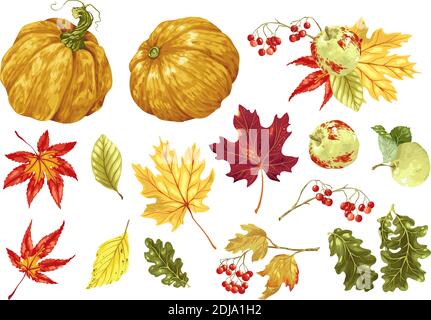 Autumn festival set with decor elements of nature in vector graphic design illustration Stock Vector