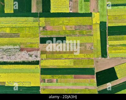 Beijing, China. 30th Mar, 2020. Aerial photo taken on March 30, 2020 shows fields in Maozhuang Village, Huaibin County of central China's Henan Province. Credit: Li An/Xinhua/Alamy Live News Stock Photo