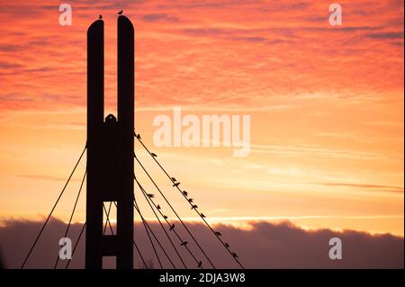 Dresden, Germany. 14th Dec, 2020. A part of the pier bridge appears at sunrise as a dark silhouette in front of the sky. Credit: Sebastian Kahnert/dpa-Zentralbild/dpa/Alamy Live News Stock Photo
