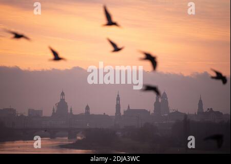 Dresden, Germany. 14th Dec, 2020. Birds fly against the backdrop of Dresden's old town with the Frauenkirche (l-r), the Ständehaus, the Katholische Hofkirche, the Hausmannsturm, the Rathaus tower and the Kreuzkirche at sunrise. Credit: Sebastian Kahnert/dpa-Zentralbild/dpa/Alamy Live News Stock Photo