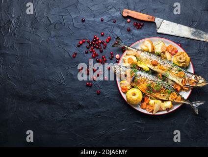 Delicious mackerel or scomber in apples and cranberry.Copy space Stock Photo