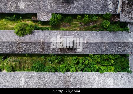 An aerial of lush nature taking over an old building complex from soviet times in Estonia, Europe. Stock Photo