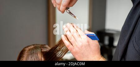 Close up of male hairdresser's hands cuts female hair in a hair salon. Selective focus Stock Photo