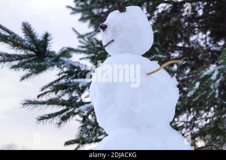 Snowman on the background of the Christmas tree. bottom view. Winter in Russia Stock Photo