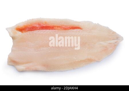 Studio shot go a fillet of Dover Sole cut out against a white background - John Gollop Stock Photo
