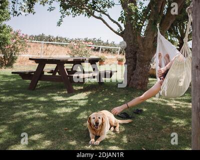 A person lying in a hammock and petting a Labrador on the ground in a garden Stock Photo