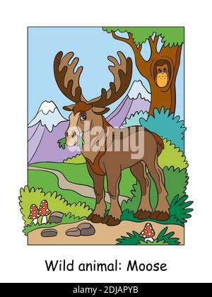 Vector colorful illustration with cute moose in mountain area. Cartoon contour illustration isolated on white background. Stock illustration for color Stock Vector