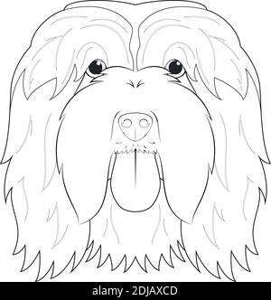 Bearded Collie dog easy coloring cartoon vector illustration. Isolated on white background Stock Vector