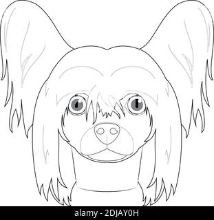 Chinese Crested dog easy coloring cartoon vector illustration. Isolated on white background Stock Vector