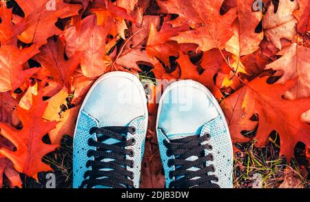 Blue sport shoes sneakers on the background of dry yellow leaves on the sidewalk in autumn fall on a sunny day Stock Photo