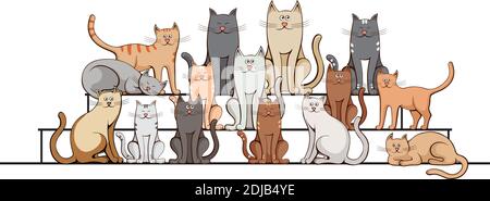 group of cats on the steps on a white background. Stock Vector