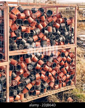Plastic pots for seedlings Stock Photo