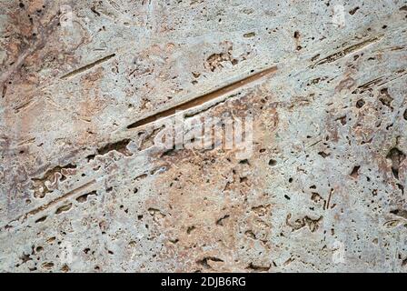 Natural beige stone texture - cut freshwater limestome (travertin, Italian banded marble, calc tufa) Stock Photo