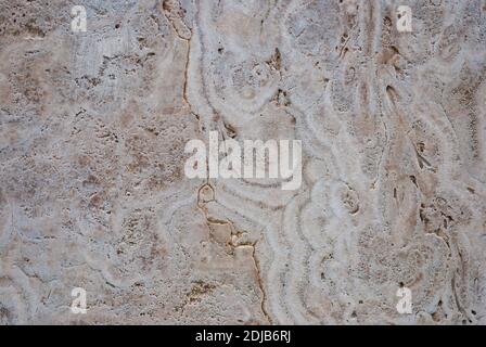 Natural freshwater limestome (Italian banded marble, calc tufa, travertin) textured structure Stock Photo