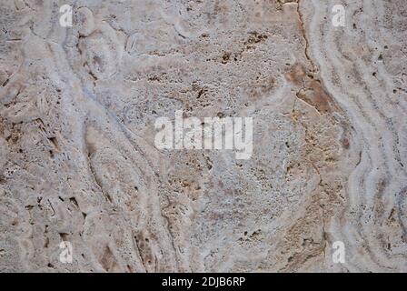 Natural freshwater limestome (travertin, Italian banded marble, calc tufa) texture Stock Photo