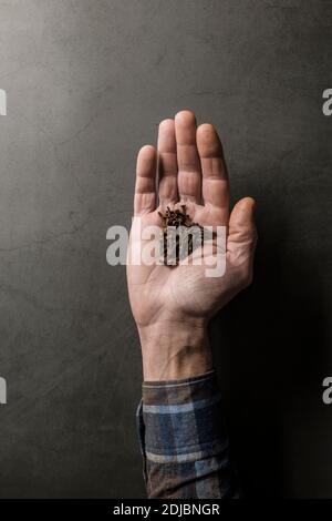man's hand with cloves on grey stone background Stock Photo