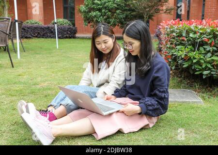 Asian female college students discuss over a computer while sitting on grass while using computer in beautiful university campus with grass, tree and Stock Photo