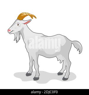 cartoon white goat isolated on white background Stock Vector