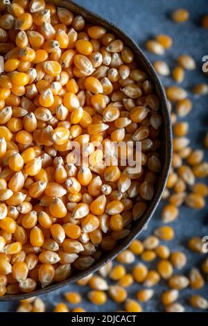 Corn seeds in a bowl and sprinkled corn seeds on blue background Stock Photo