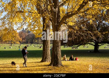 The Sheep Meadow is a Quiet Zone in Central Park, NYC, USA Stock Photo