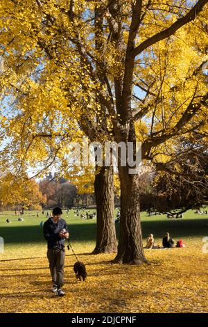 The Sheep Meadow is a Quiet Zone in Central Park, NYC, USA Stock Photo