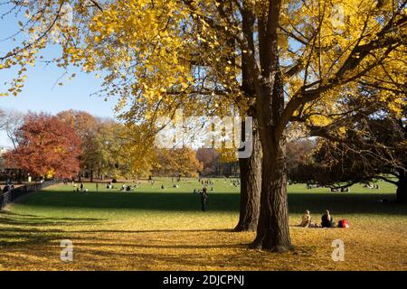 The Sheep Meadow is a Quiet Zone in Central Park, NYC, USA Stock Photo