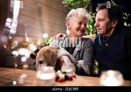 Senior couple with dog in the evening on terrace, talking. Stock Photo