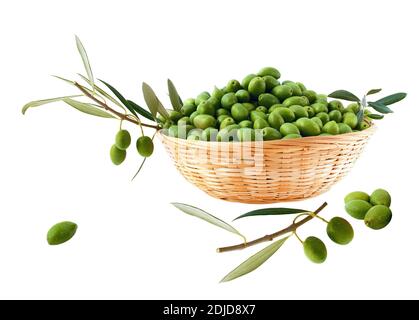 Green appetizer olives with an olive branch loaded with fruits isolated on white background. Stock Photo