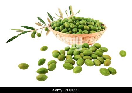 Green appetizer olives with an olive branch loaded with fruits isolated on white background. Stock Photo