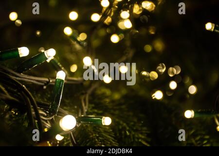 Abstract background yellow bokeh lights and branches of a tree in winter, Christmas or party background, cozy and warm feelings Stock Photo