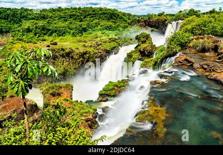 Iguazu Falls in a tropical rainforest in Argentina Stock Photo