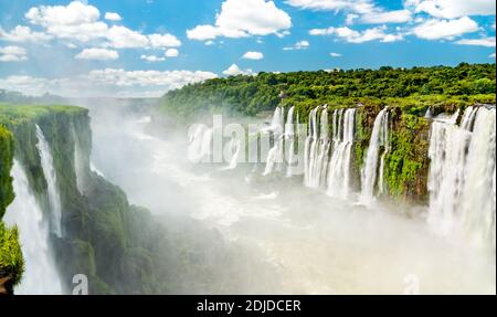 Iguazu Falls in a tropical rainforest in Argentina Stock Photo