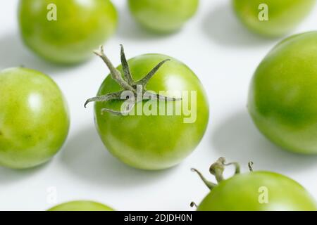 Solanum lycopersicum. Green tomatoes on a white background. UK Stock Photo
