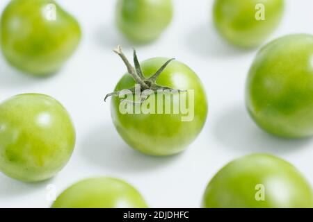 Solanum lycopersicum. Green tomatoes on a white background. UK Stock Photo