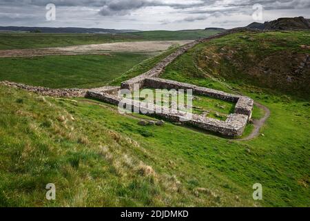 Ruins of Mile Castle No. 39, Hadrian's Wall, near Homesteads, Northumberland, England, United Kingdom Stock Photo