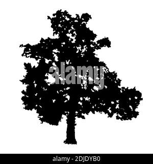 Tree silhouette isolated on white background. Oak tree icon. Black shape realistic tree with leaves silhouette.Outline flat design.Vector illustration Stock Vector