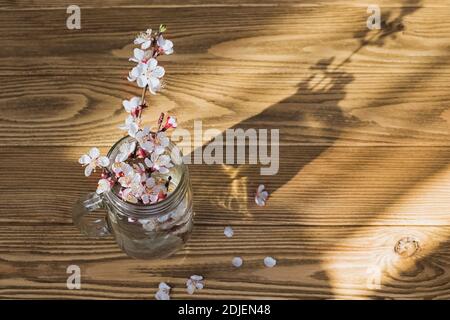 Glass jar with blooming spring branches on wooden table Stock Photo