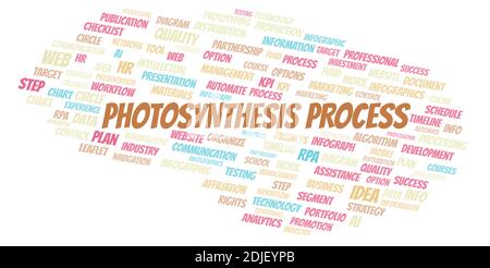 Photosynthesis Process typography word cloud create with text only. Stock Photo