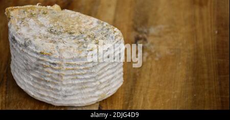 Half goat cheese on wooden board. Cheese making. Stock Photo