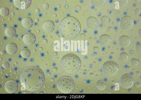 abstract selective focus colorful background with water drops. water bubbles multiple reflections. Stock Photo