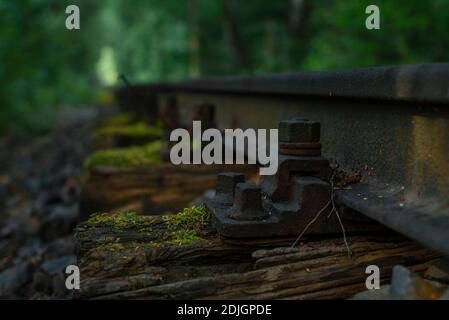 old rusty track in a forest, Old rotted wooden rail sleepers in a forest, old rusty track in a forest Stock Photo