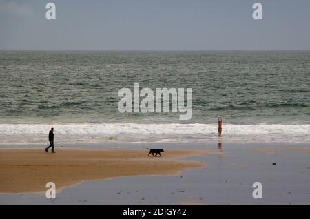 Dog walking man looking at a young woman coming out of the sea wearing a bikini on a cold December morning Sardinero beach Santander Cantabria Spain Stock Photo