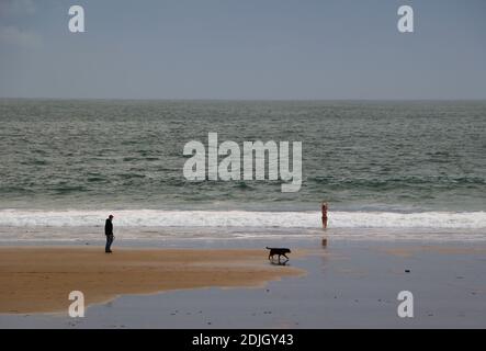 Dog walking man looking at a young woman coming out of the sea wearing a bikini on a cold December morning Sardinero beach Santander Cantabria Spain Stock Photo