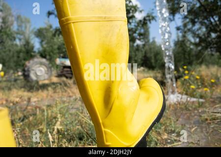 Man in yellow rubber boots digging in garden with shovel. Soil preparation. Worker digs soil with shovel in the vegetable garden, man loosens dirt in Stock Photo