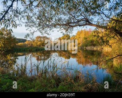 Lake surrounded by colorful trees in golden autumn evening. Blue sky and bright warm colors of leaves reflecting on water surface. Stock Photo