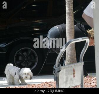 Exclusive!! Oscar winner Jane Fonda (68) arrives at Miami International Airport with her dog Tulea to appear at Miami Dade College's Wolfson Campus to promote her best selling book 'My Life So Far'.  Obviously Tulea was relieved to see the first available palm tree and in the absence of a pooper scooper Fonda removed the evidence with a white handkerchief. Miami, FL. 4/22/06 Stock Photo