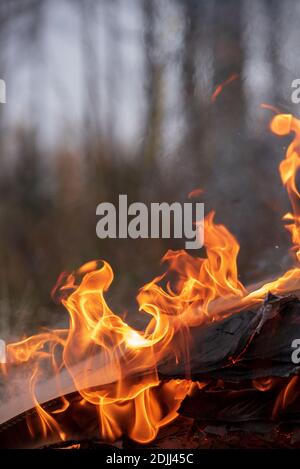 Burning pile of cardboard and waste paper Stock Photo
