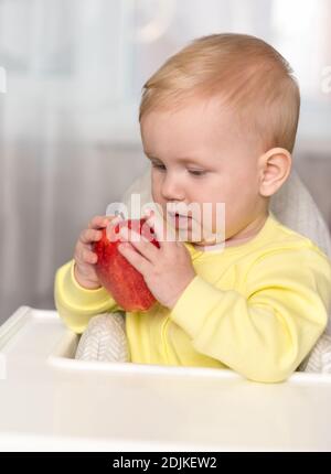 A little baby girl looks at a big red Apple in her hands. Home furnishings, high chair Stock Photo