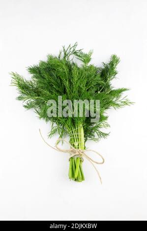 Bunches of fresh dill isolated on white background. Stock Photo