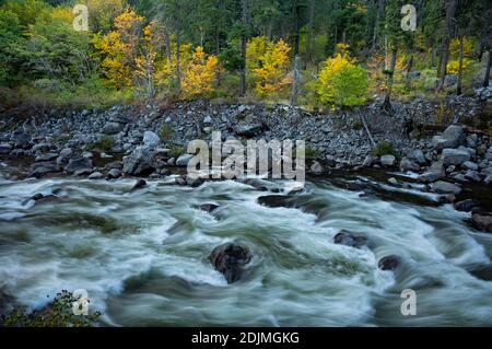 WA18745-00...WASHINGTON - Fall time along the Wenatchee River in Tumwater Canyon in the Wenatchee National Forest. Stock Photo